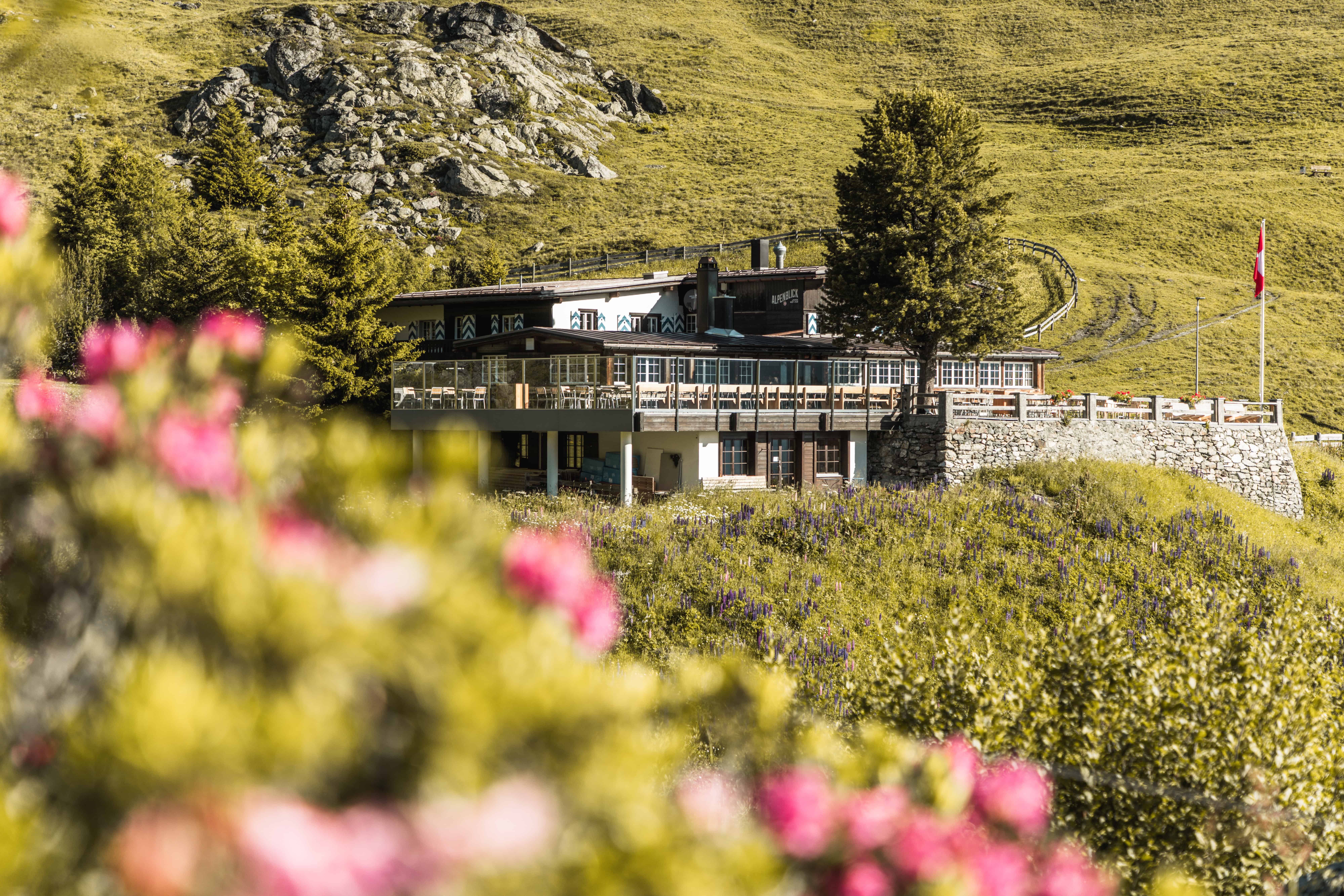 Alpenblick und Alpenrosen